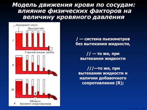 Влияние пониженного кровяного давления на работу сердечно-сосудистой системы