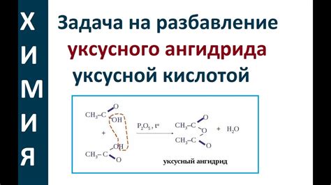 Влияние протяженности периода на становление уксусного брожения