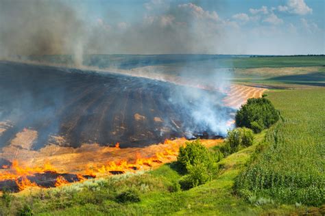 Влияние радиоактивного осаждения на сельское хозяйство