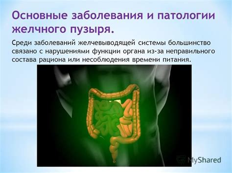 Влияние соответствующего рациона на функционирование желчного органа