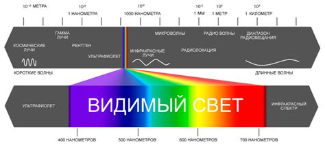 Влияние спектра цветов на излучение тепла