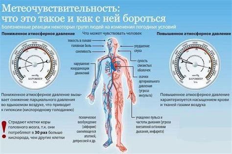 Влияние стресса и психоэмоциональных перегрузок на артериальное давление