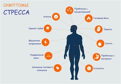 Влияние стресса и эмоционального напряжения на организм