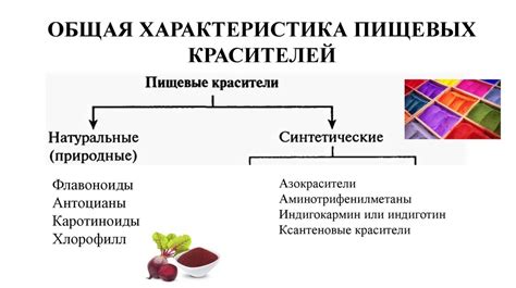 Влияние сухих пищевых красителей на вкус и структуру блюд