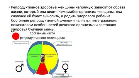 Влияние тироксина на репродуктивную систему женщин