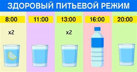 Вода для маленькой алабайской породы: доступ и режим питья