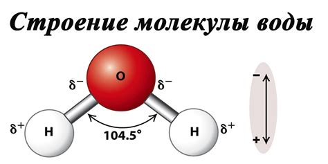 Вода и химия: принципы совместимости