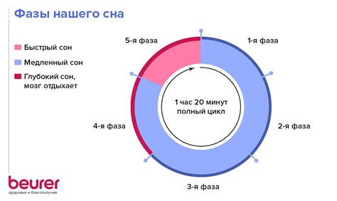 Воздействие на организм глубокого и быстрого сна