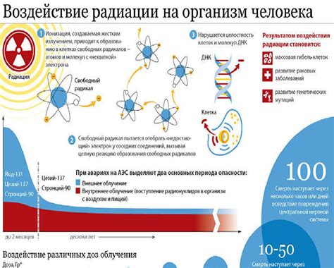 Воздействие на организм и методы восстановления после лечения противоопухолевыми препаратами