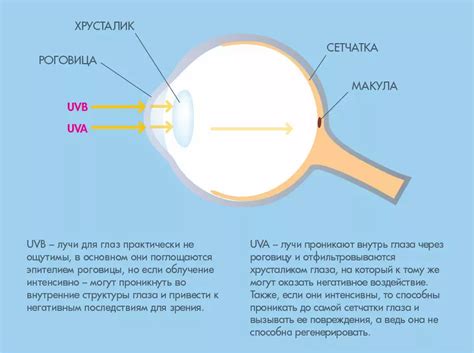 Воздействие на слизистую оболочку глаза