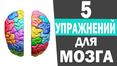 Воздействие осавшегося сокращения функций мозга на умственную деятельность ребенка