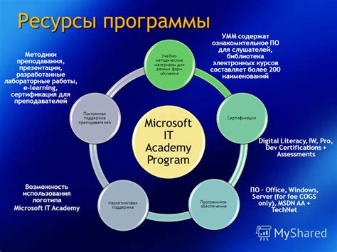 Возможности индивидуальной работы и постоянная поддержка со стороны преподавателей