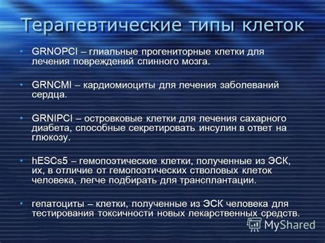 Возможности использования аналогичных клеток для лечения различных заболеваний