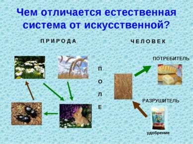 Возможности применения устройства "Кошачий крюк" в искусственной среде замкнутого экосистемы