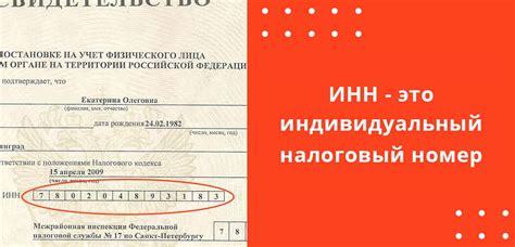 Возможность получить Идентификационный номер Юридического лица по наименованию или местоположению