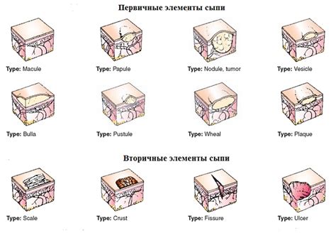 Возможные дефицитные элементы при недостатке гусиной кожи