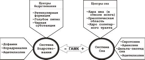 Возможные ограничения и противопоказания