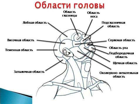 Возникновение ощущения особого движения в области головы: факторы, вызывающие данное состояние