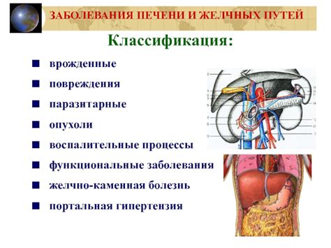 Воспалительные процессы в желчных путях