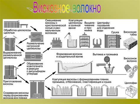 Второй этап: обработка сырья и получение целлюлозы