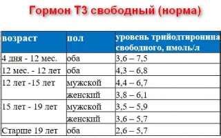 Выбор веса Тиреоидного гормона: как найти оптимальную дозировку?