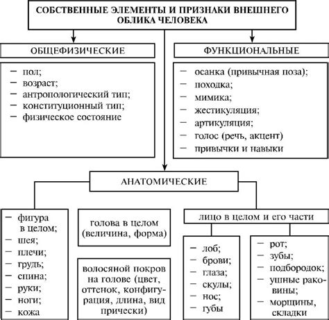 Выбор и загрузка внешнего облика