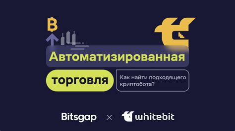 Выбор и установка подходящего бота