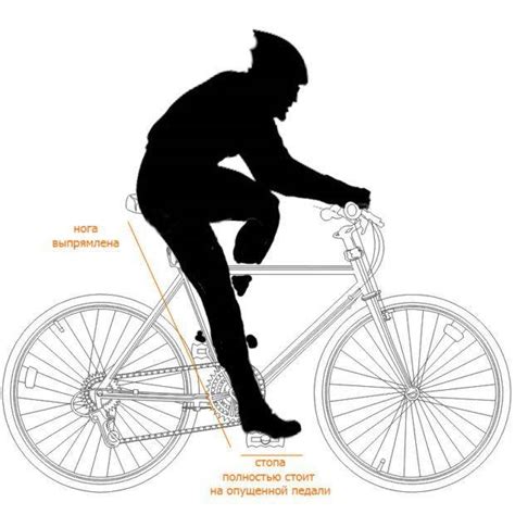 Выбор оптимальной позиции при езде на велосипеде