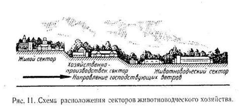 Выбор подходящего места для размещения животноводческих построек