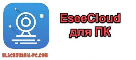 Выбор подходящей платформы для установки eseecloud