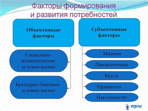 Выбор подходящей программы в зависимости от потребностей и возможностей