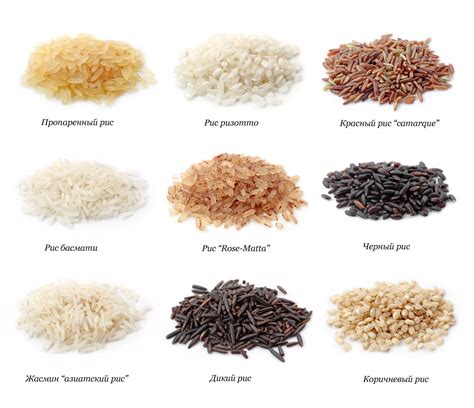 Выбор правильного сорта риса: точность выбора