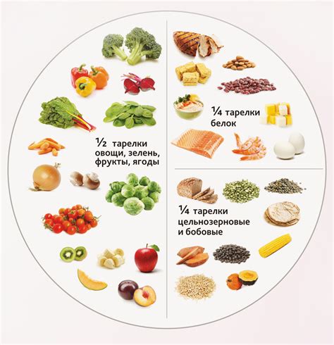 Выбор продуктов с высокой питательной ценностью при сокращении калорийного рациона