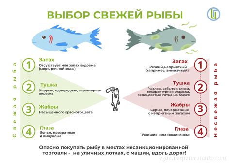 Выбор свежей рыбы: ключ к идеальному результату