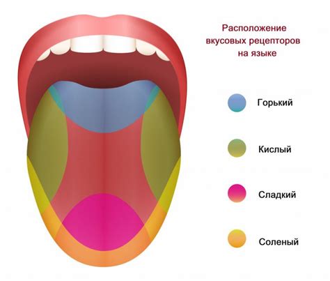 Выбор языка и временной зоны