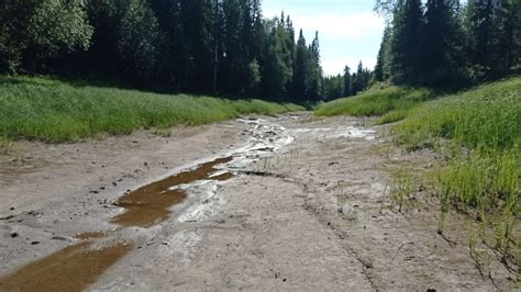 В поисках воды