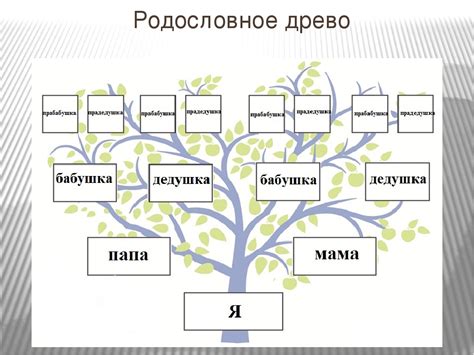 Генезис фамилии Фокина: корни и эволюция