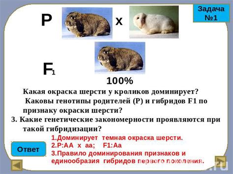 Генетические аспекты формирования окраски и узора шипов у ежей