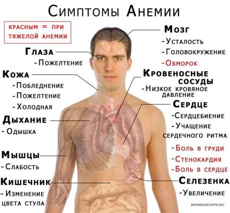 Генетические факторы, влияющие на проявление анемии