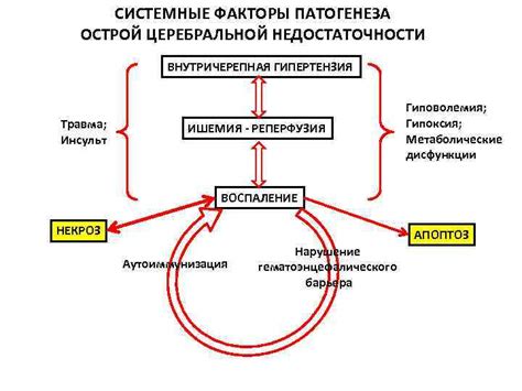 Генетические факторы, способствующие возникновению резидуальной церебральной недостаточности