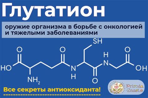 Глутатион: функции и влияние на организм