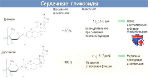 Глюкозиды: что это такие сердечные гликозиды?