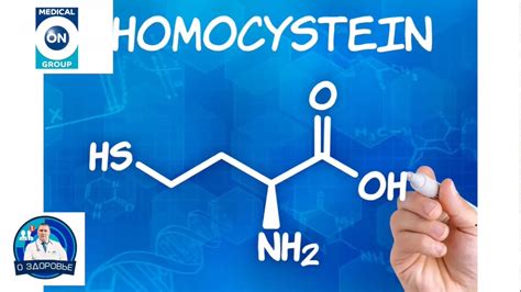 Гомоцистеин: что это и почему важно его контролировать