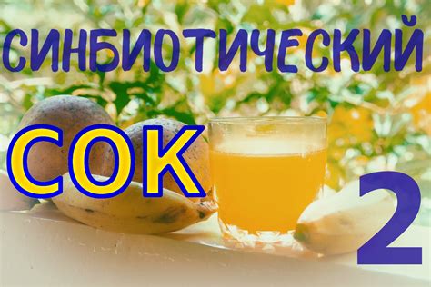 Готовка первичной закваски