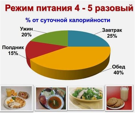 График питания: контроль порций и времени приема пищи