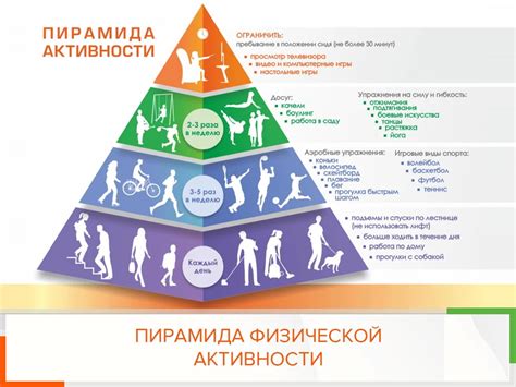 Диета и физическая активность в коррекции индикатора атерогенности