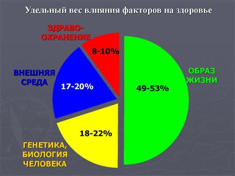 Динамическое ростовая ситуация: внутренний и внешний влияющий факторы на увеличение численности населения