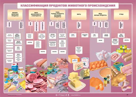 Допустимая норма потребления жировых продуктов животного происхождения