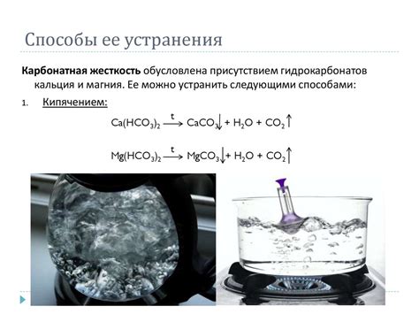 Жесткость усов: причины и способы размягчения