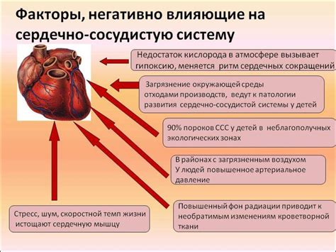 Жиры и их связь с распространенными заболеваниями сердечно-сосудистой системы